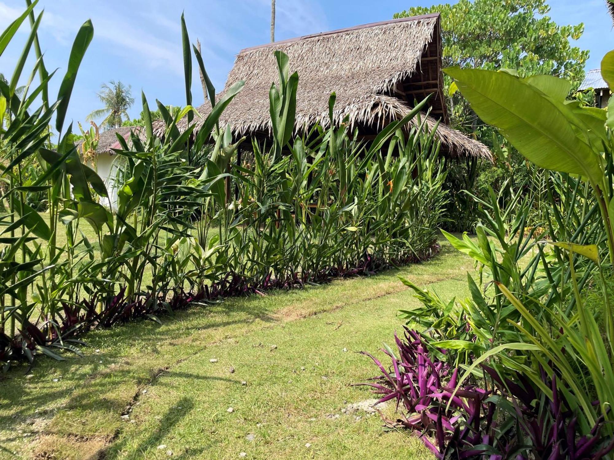 ג'נרל לונה Siargao Sunflower Suites מראה חיצוני תמונה