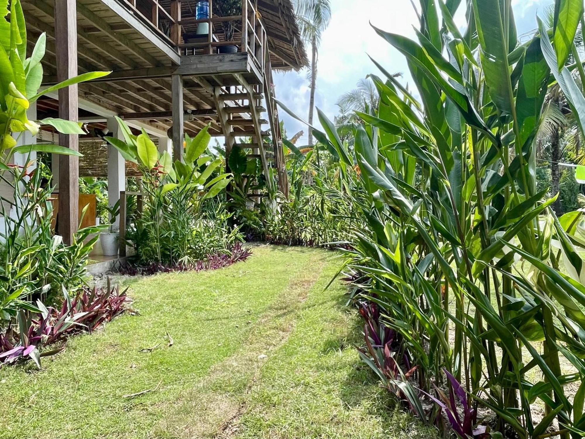 ג'נרל לונה Siargao Sunflower Suites מראה חיצוני תמונה